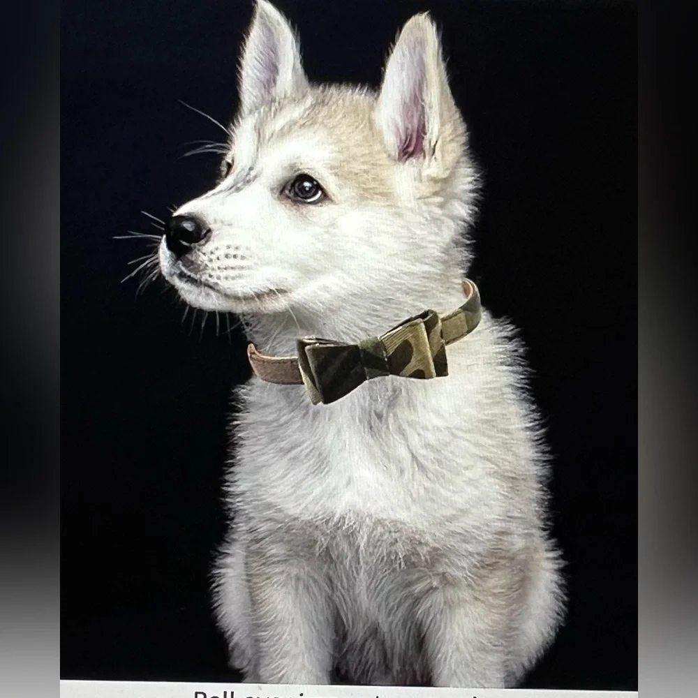 2PCS Bow Tie Dog Collar and Bandana Set for Small Dogs and Puppies